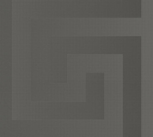 Carta da parati Versace collezione 5 Codice 38609-1 rotolo 7mq