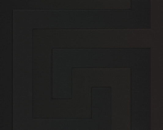 Carta da parati Versace collezione 5 Codice 93523-4 rotolo 7mq